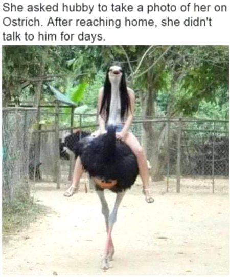 Memes & Satire image