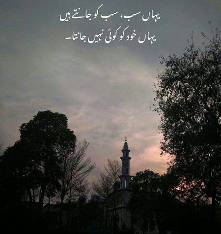 Memes & Satire image