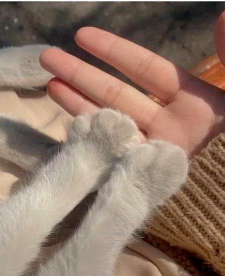 کھاتے ہیں بچھڑنے پہ جو مر جانے کی قسمیں!!
وہ لوگ بچھڑ جائیں تو مَر کیوں نہیں جاتے۔۔!!