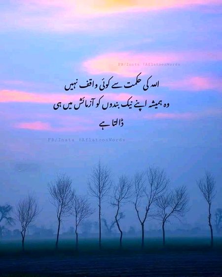 Islamic Quotes image