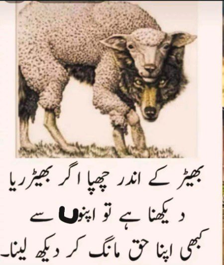 Attitude Quotes image