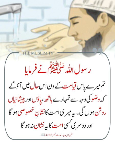 Islamic Quotes image
