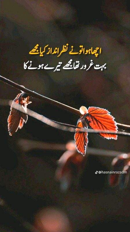Sad Poetry image