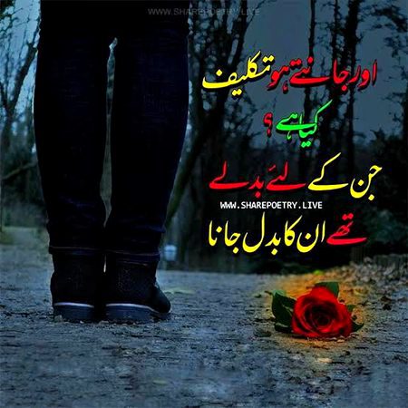 Sad Poetry image