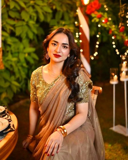 Pakistani Celebs image