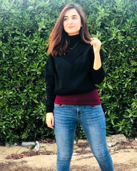 Pakistani Celebs image