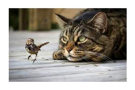 *> ✍🏻 ليَس بالضرورة أن يكون كلّ من يُراقبك أو يُطيل النظر إليكَ يُحبُّك•*
ضروری نہیں کہ ہر وہ شخص جو آپ کو دیکھتا ہے یا دیکھتا رہتا ہے' وہ آپ سے پیار کرتا ھے ...★