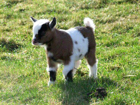 Beautiful Nature image