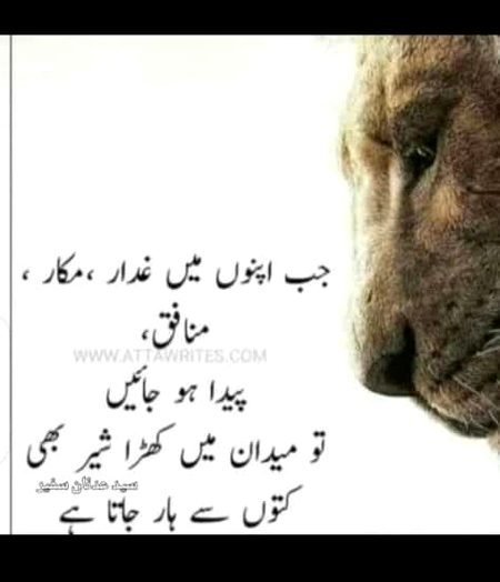 Absolutely rite👆