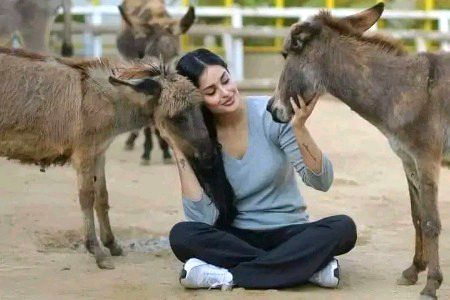 عورت نے ھمیشہ گدھوں سے ہی عشق کیا ہے عقلمند آدمی کو تو وہ پسند ہی نہیں کرتی😜
