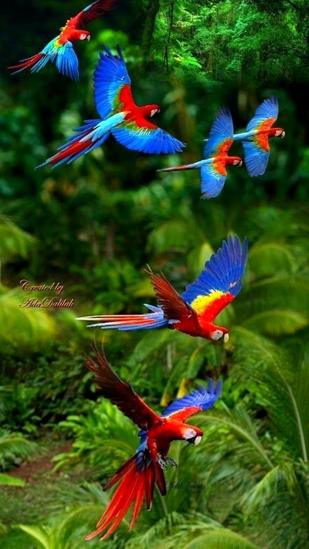 Beautiful Nature image