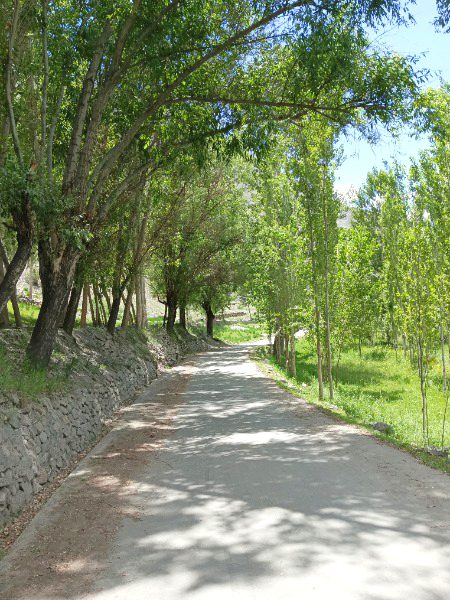 Beautiful Nature image