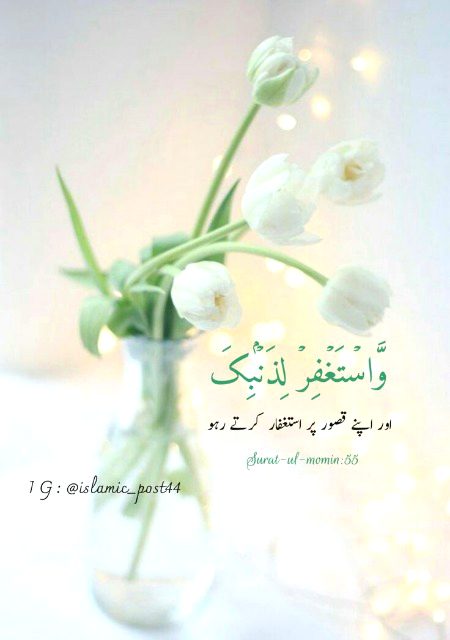 Islamic Quotes image