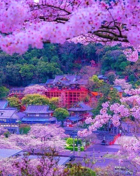 Beautiful Nature image