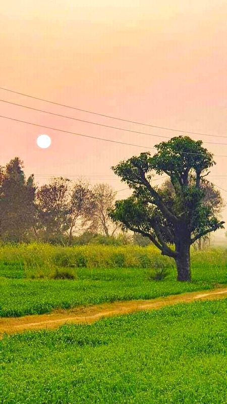 Beautiful Nature image
