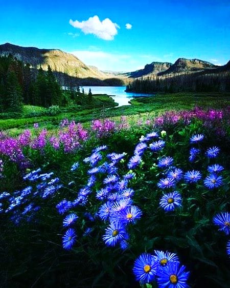 Beautiful Nature image