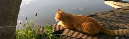 "ہم لمحات کی قدر نہیں کرتے، جب تک وہ یاد نہ بن جائیں…!!🖤