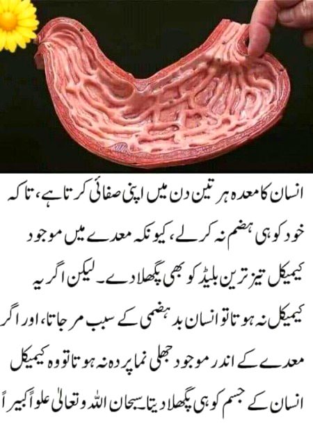 Interesting Posts image