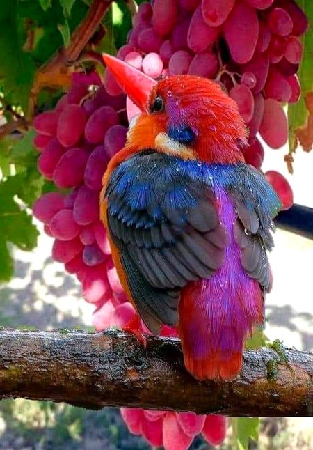 Beautiful Nature image
