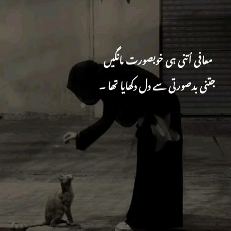 اگر کوئی مجھ سے پوچھے کہ تمھیں سب سے زیادہ خوف کس چیز سے آتا ہے؟ تو میں جواب دوں گا: میرا سب سے بڑا خوف یکطرفہ جذبات ہیں ، پھر چاہے وہ محبت میں ہوں ، دوستی میں ہوں ، یا پھر خونی رشتوں میں آخر میں انسان کے مخلص جذبات یکطرفہ رہ جاتے ہیں۔۔.a1