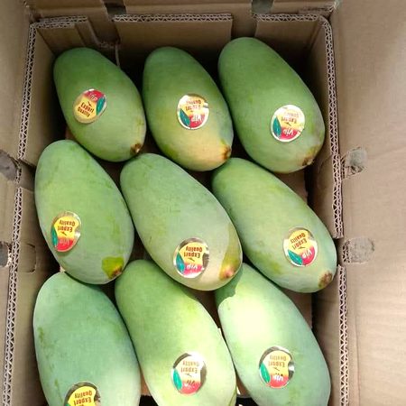 شاندار موسمی ملتانی رسیلہ چونسا مینگو دستیاب
ابھی آرڈر کریں