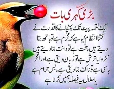Asalam Alaikum