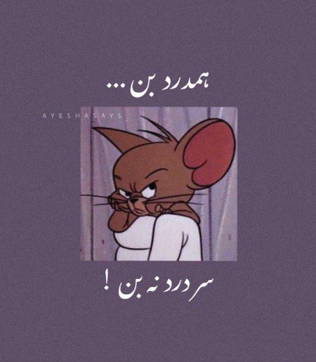 Memes & Satire image