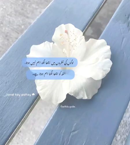 Islamic Quotes image