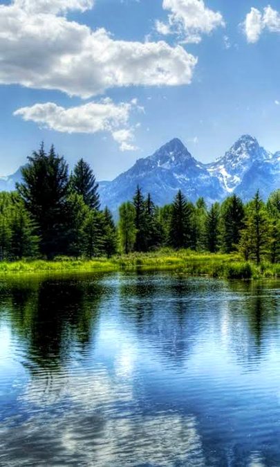 Beautiful Nature image