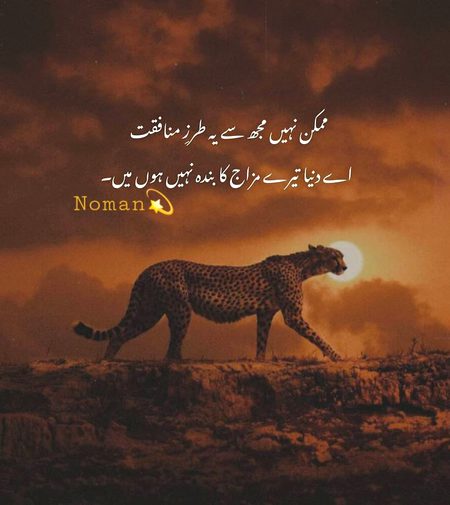 Attitude Poetry image