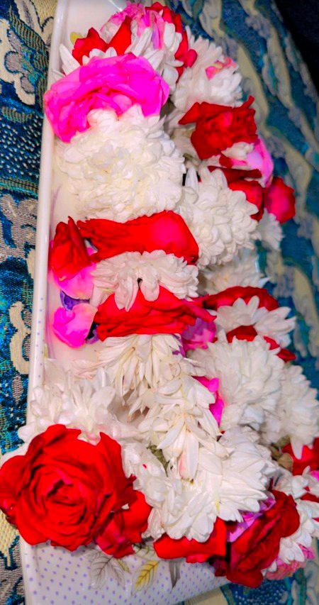 Beautiful Nature image