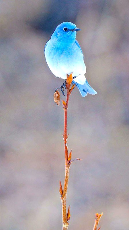 Beautiful Nature image