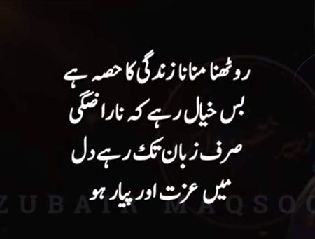 Attitude Quotes image