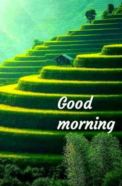 Beautiful Nature image