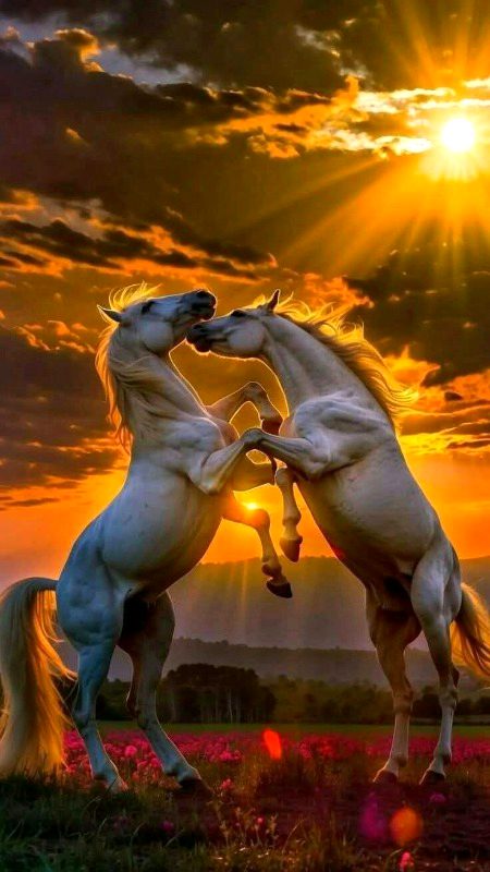 Beautiful Nature image