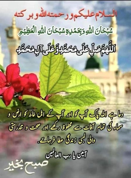 Assalam U Alaikum ❤️ 
merijan-16 🌹