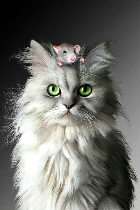 Beautiful Nature image