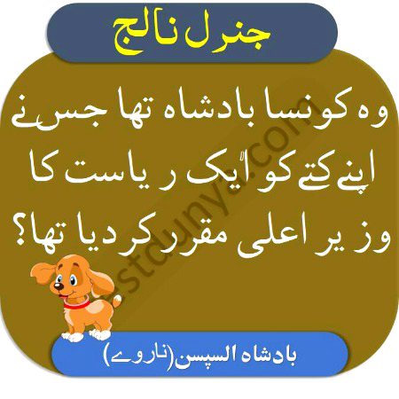 Knowledge Test image