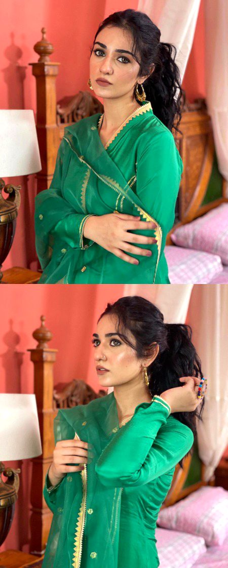 Pakistani Celebs image