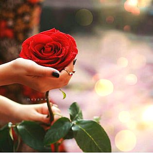 Beautiful Nature image