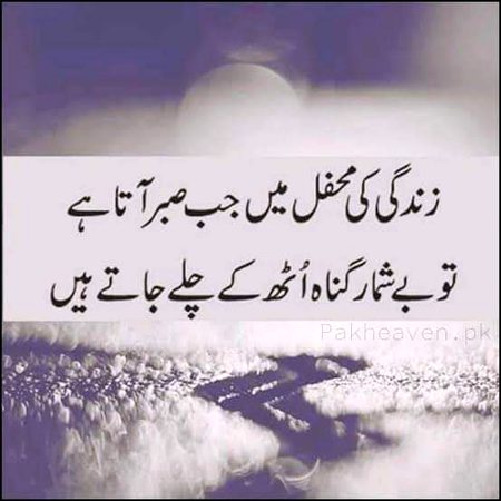 Life Advice image