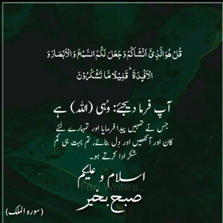 Islamic Quotes image