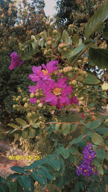 Beautiful Nature image