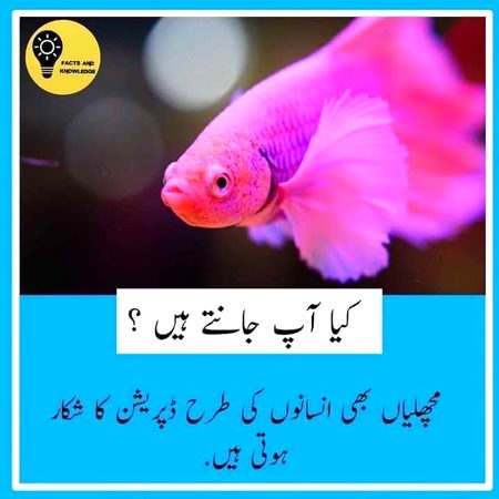 Information ❤️❤️