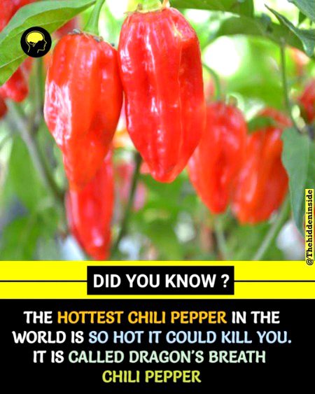 Interesting Posts image