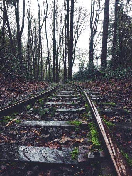 میں جانتا ھوں یہ رستہ کہیں نہیں جاتا
میں جانتا ھوں مگر کیا کروں،کہاں جاؤں.؟