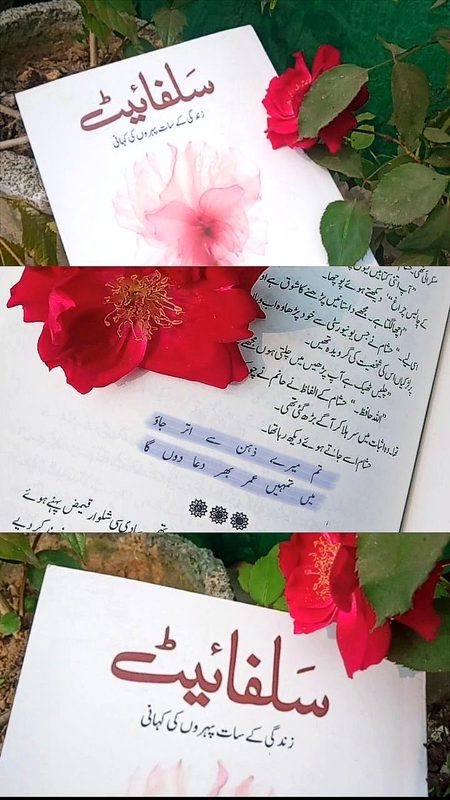 Suspense Novels image