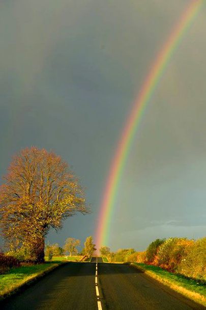 Beautiful Nature image