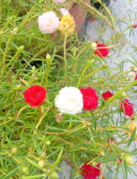 Beautiful Nature image
