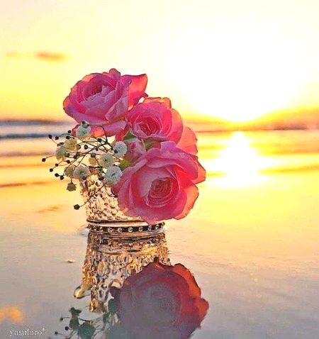 Beautiful Nature image